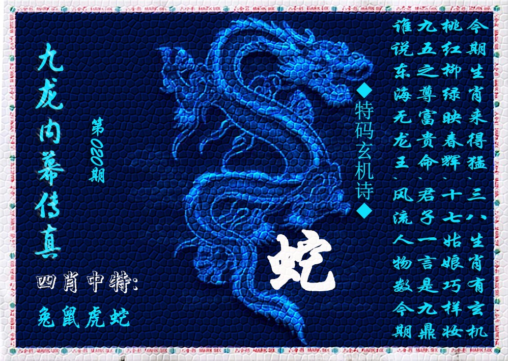 020期九龙内幕传真(新上市)[图]