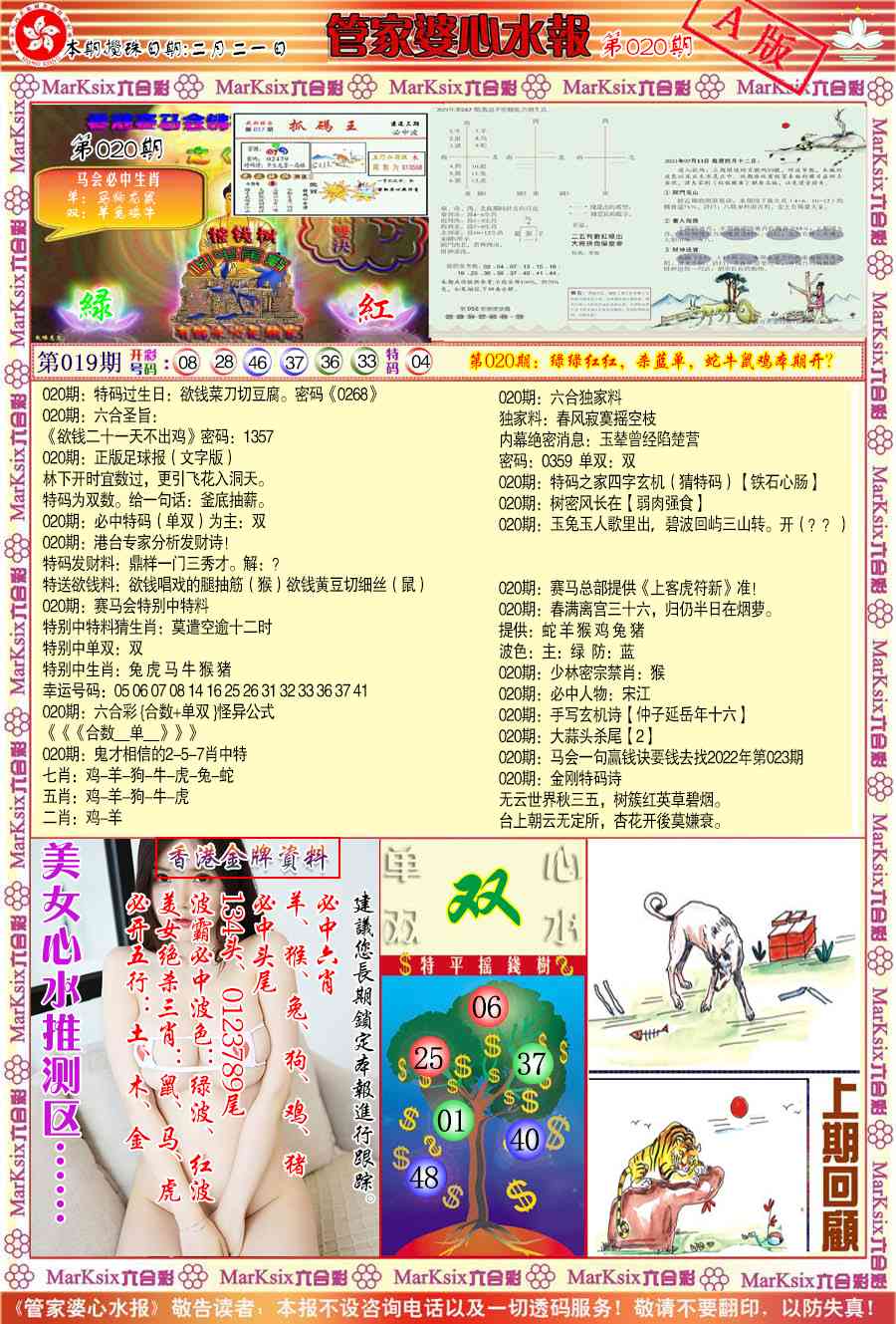 020期管家婆心水报A[图]