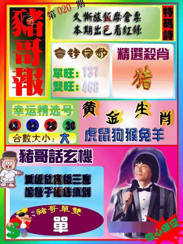 020期猪哥报[图]