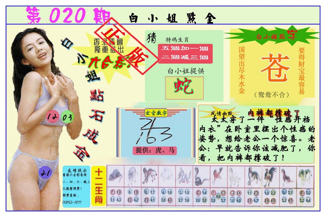 020期白小姐点金[图]