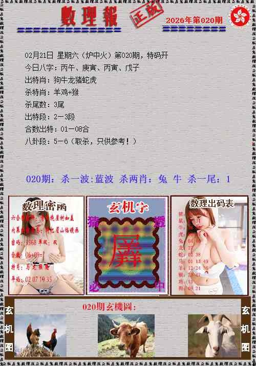 020期数理报[图]