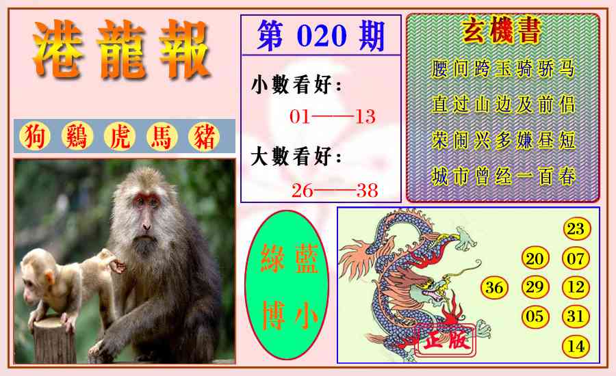 020期港龙报[图]