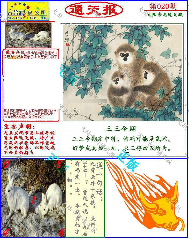 020期大陆通天报[图]