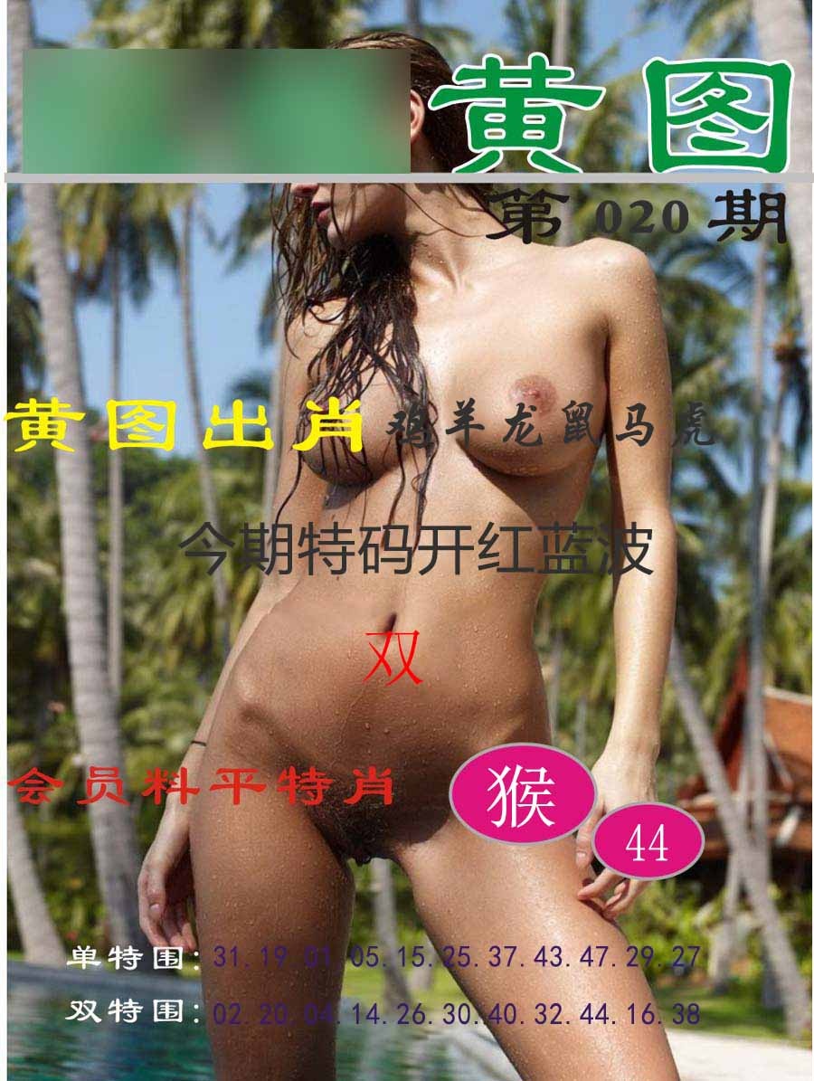 020期黄图[图]