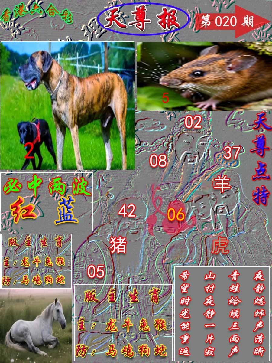 020期天尊报[图]