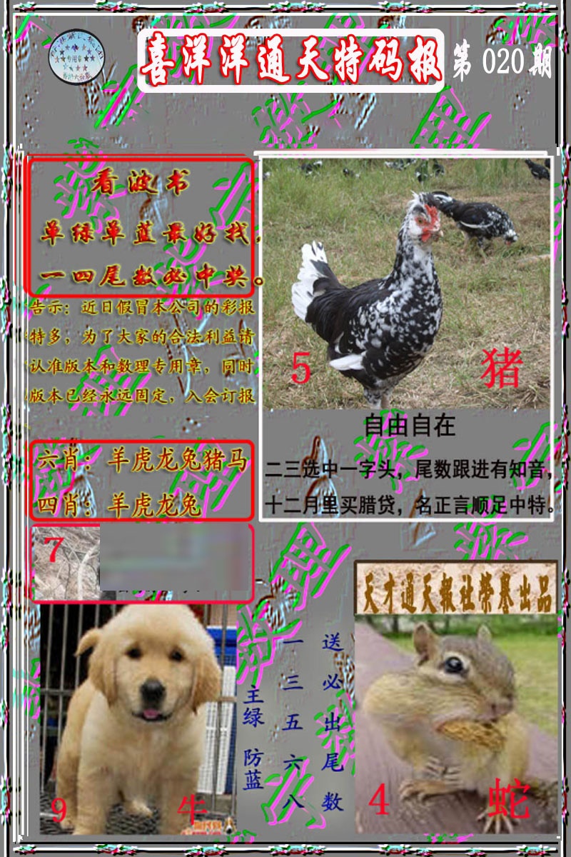 020期洋通报[图]