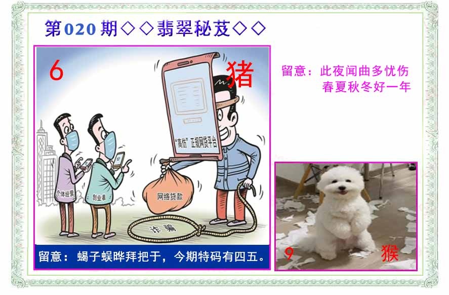 020期翡翠报[图]