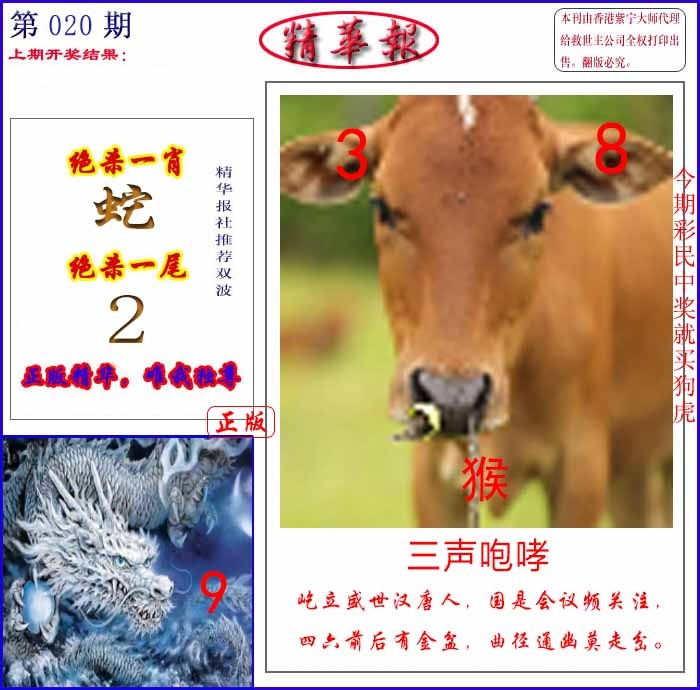 020期新精华报报[图]