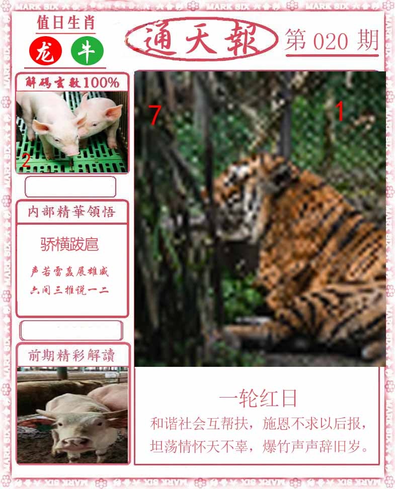 020期正版通天报[图]