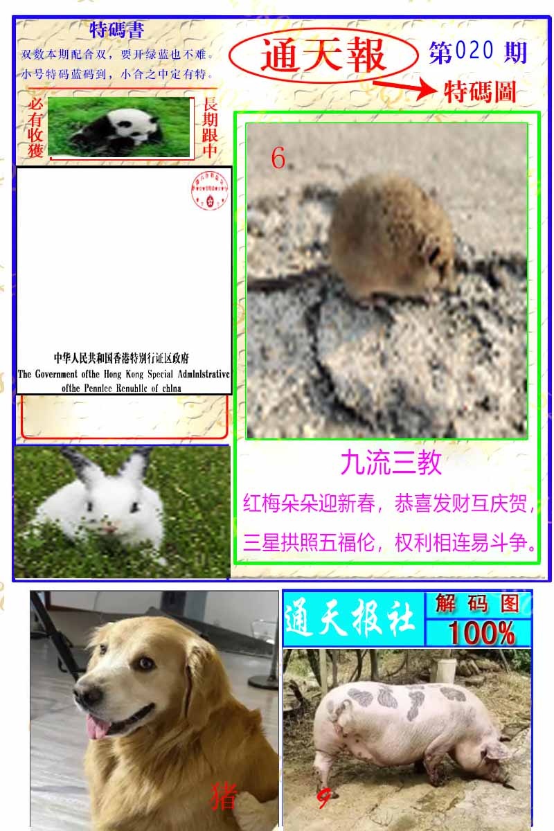 020期通天特解图[图]