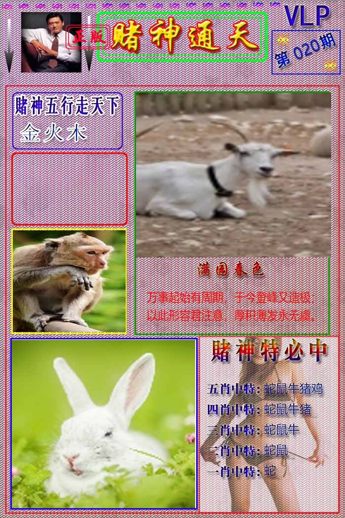 020期赌神通天报[图]