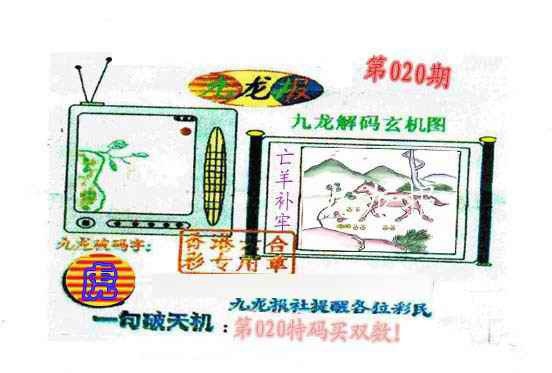 020期九龙报[图]