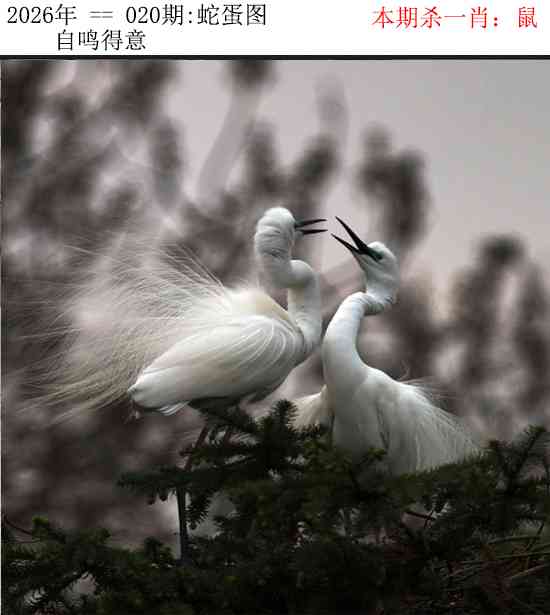 020期正版蛇蛋图[图]