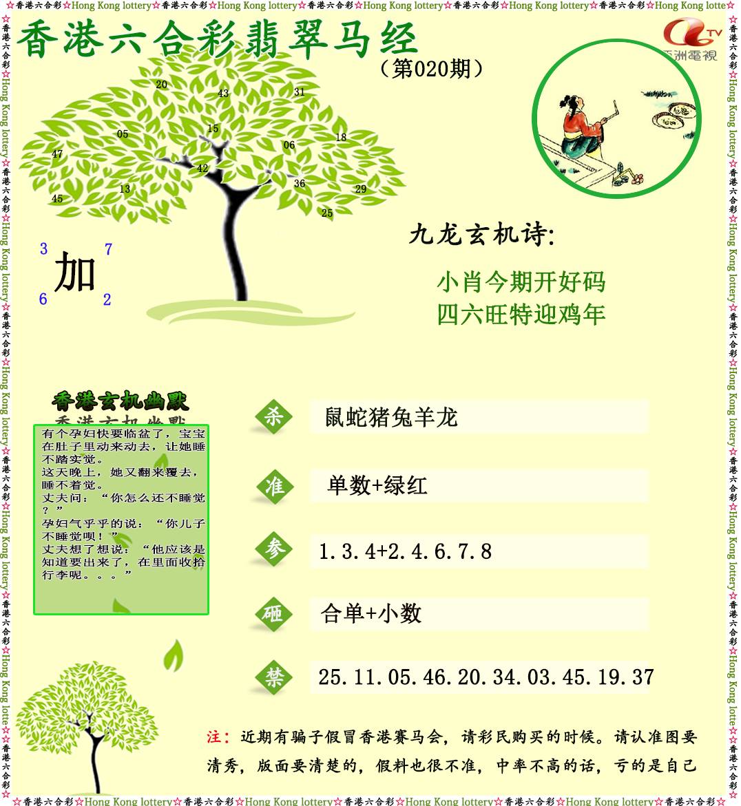 020期翡翠马经[图]