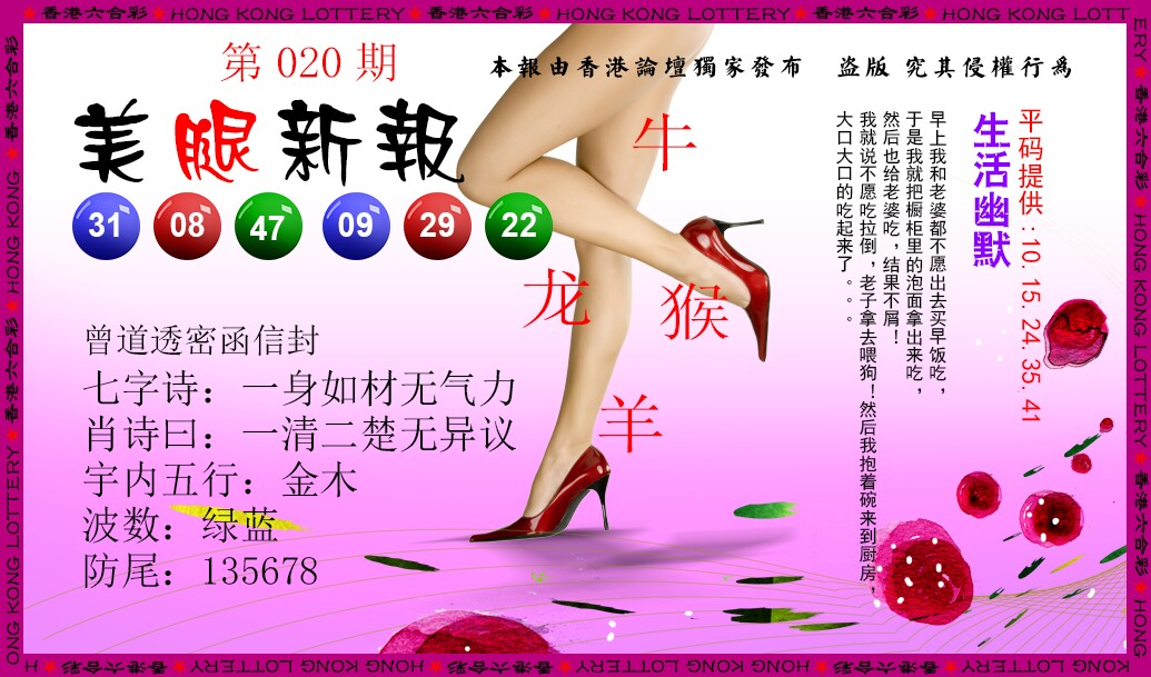 020期美腿新报[图]