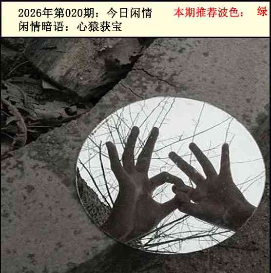 020期今日闲情2[图]