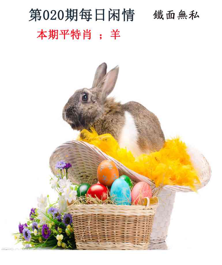020期每日闲情[图]