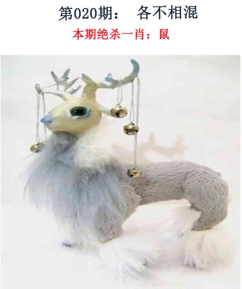 020期金钱豹自有真功夫[图]