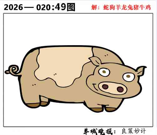 020期49图[图]