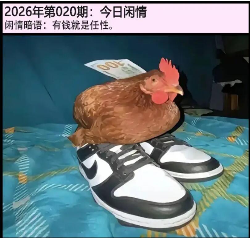 020期另版今日闲情[图]