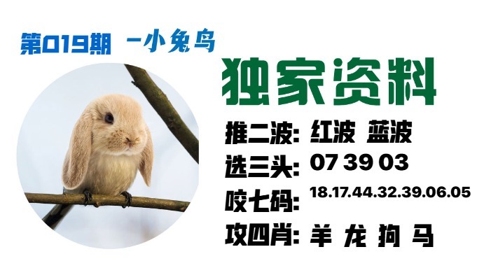 019期小兔鸟[图]
